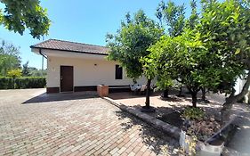 Serroni Alto